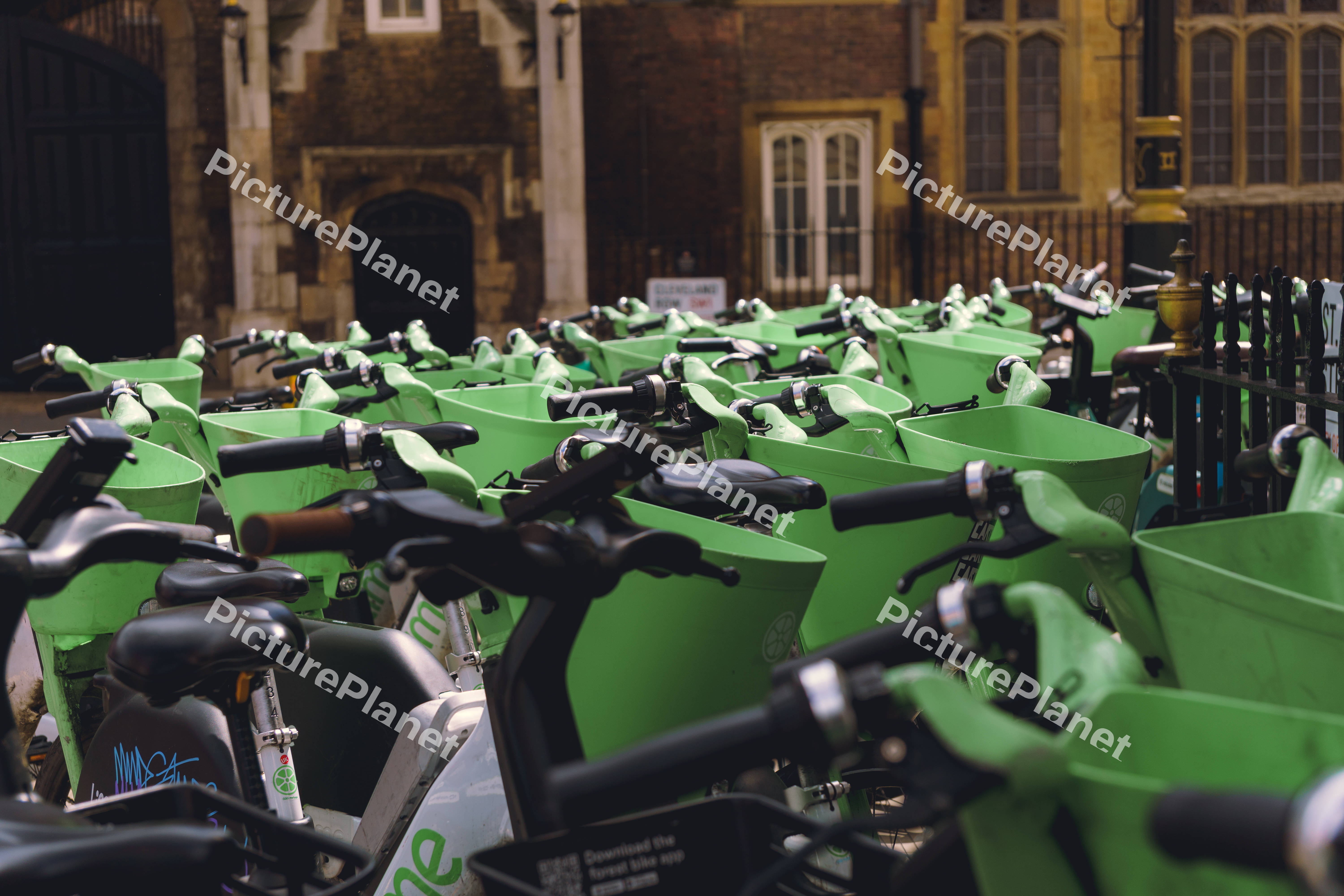 Sea of Lime Bikes